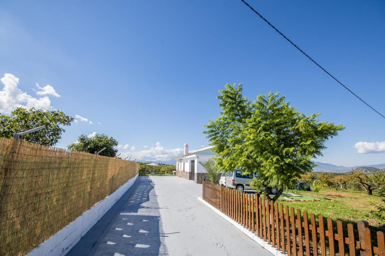 Cubo'S Finca La Higuera 阿尔豪林德拉托里 外观 照片